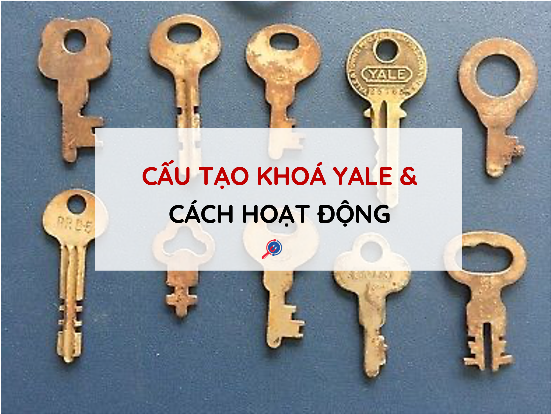 cau-tao-khoa-yale-va-cach-hoat-dong-139