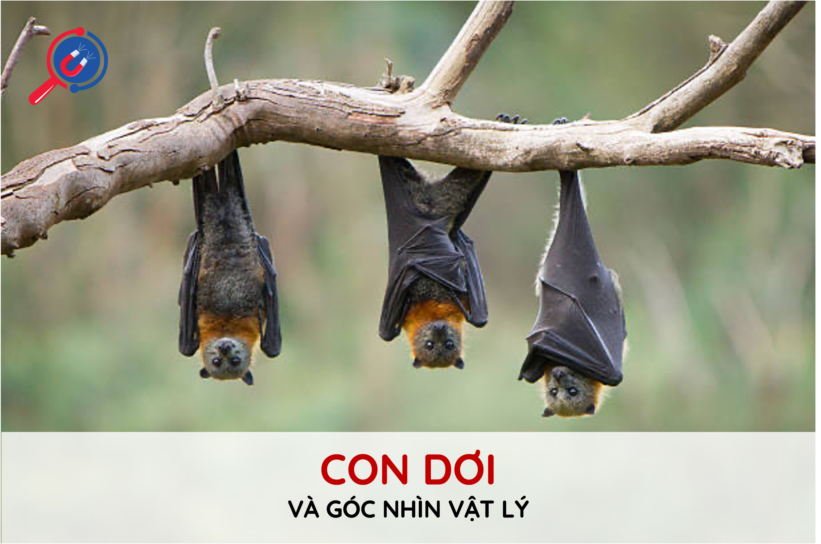 tai-sao-doi-bay-duoc-vao-ban-dem-va-goc-nhin-vat-ly-142