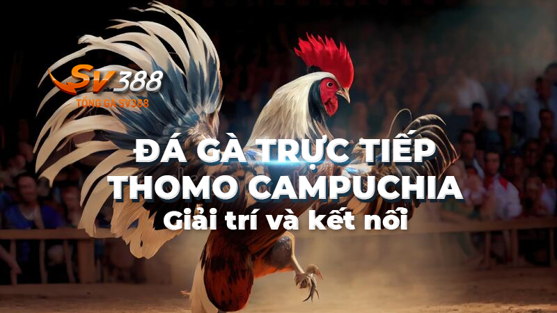 xem-truc-tiep-da-ga-thomo-campuchia-tai-sv388-hom-nay-223