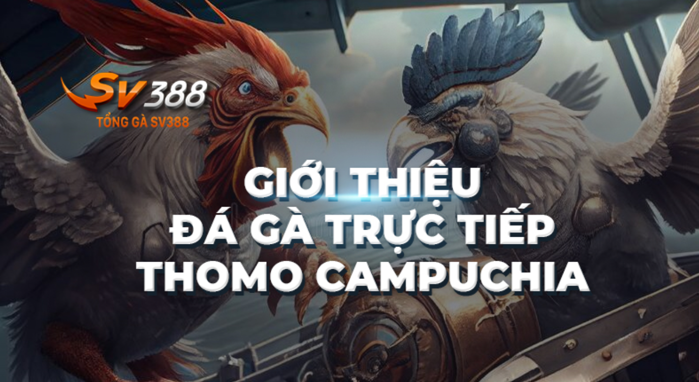xem-truc-tiep-da-ga-thomo-campuchia-tai-sv388-hom-nay-222