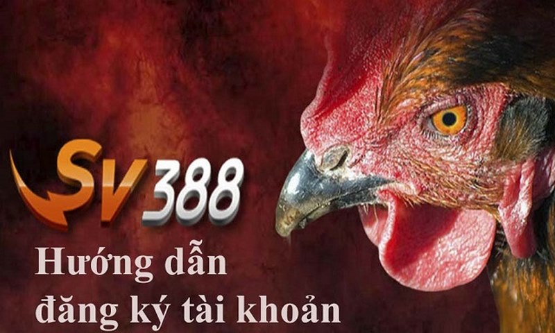 dang-ky-sv388-tan-huong-dich-vu-ca-cuoc-dinh-cao-tai-nha-cai-277