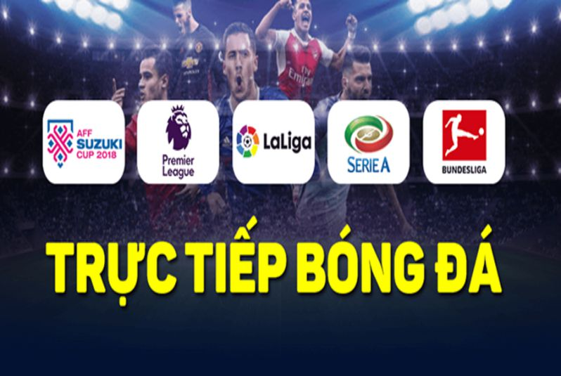 4-chuyen-muc-hap-dan-cua-trang-truc-tiep-bong-da-xoilac-tv-greenparkhadongcom-287