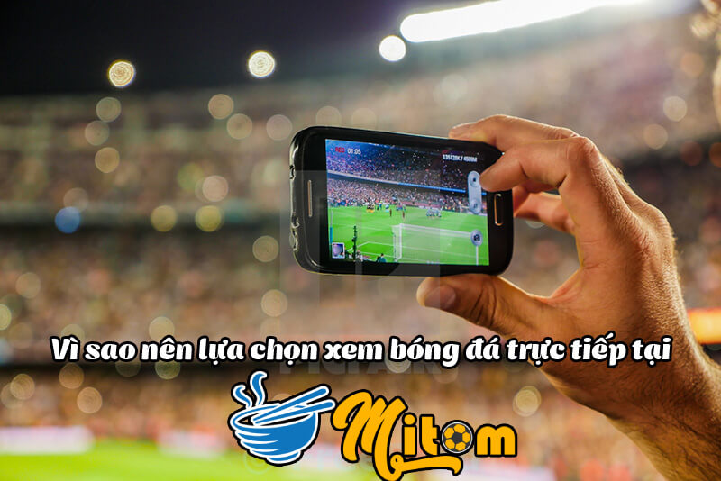 mitom-tv-mitom1site-lich-thi-dau-bong-da-cap-nhat-som-nhat-337