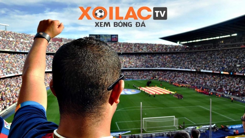 xoilac-dam-chim-voi-nen-tang-danh-cho-nguoi-ham-mo-bong-da-380