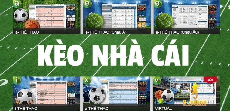 huong-dan-xem-keo-nha-cai-bongdaso-chuan-nhat-389
