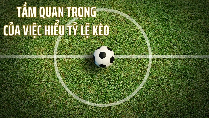 giai-ma-ty-le-keo-bong-da-tu-co-ban-den-nang-cao-457