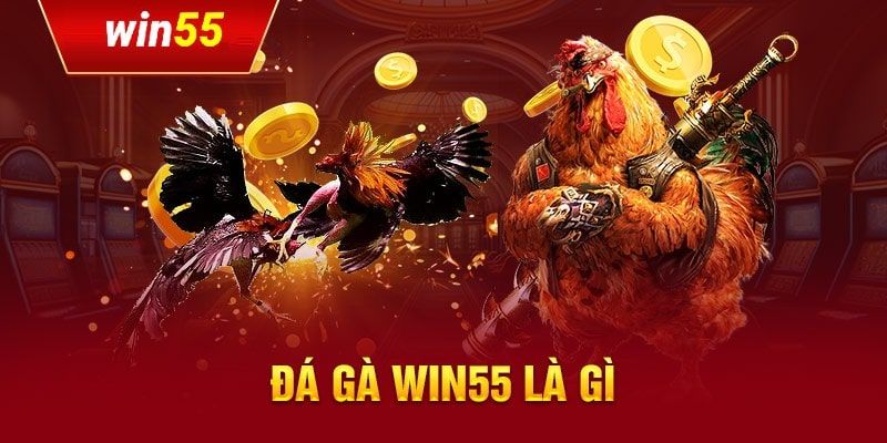 da-ga-win55-bat-mi-bi-kip-chon-ga-chien-thu-ve-loi-nhuan-535