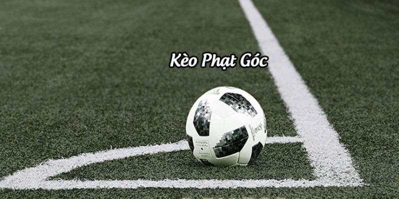 keo-phat-goc-va-kinh-nghiem-dat-cuoc-hieu-qua-nhat-584