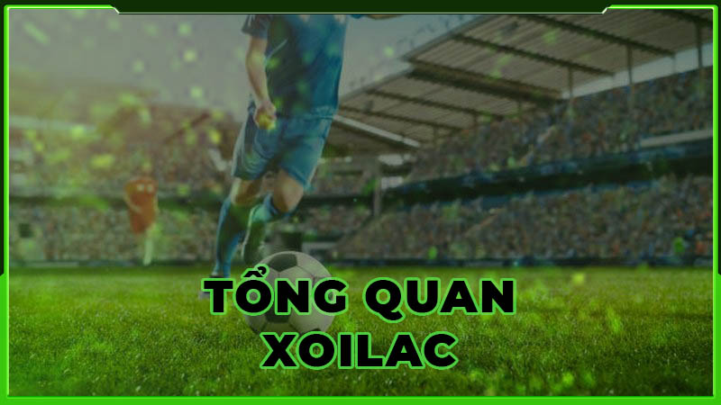 xoilac-thoa-suc-dam-minh-trong-the-gioi-tuc-cau-mau-sac-756