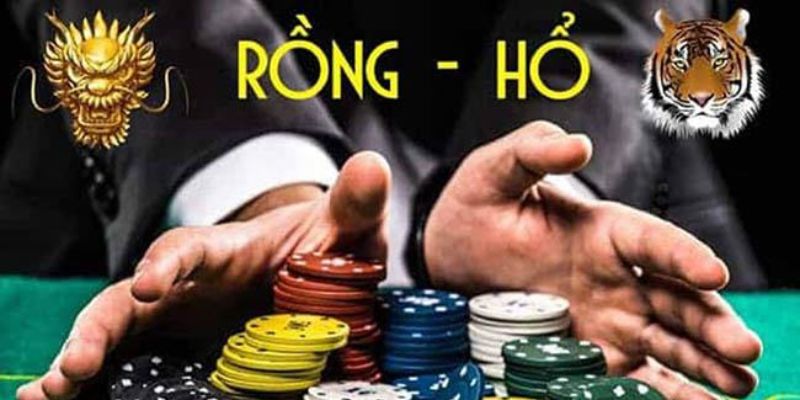 rong-ho-bat-mi-cach-thuc-soi-cau-chinh-xac-nhat-796
