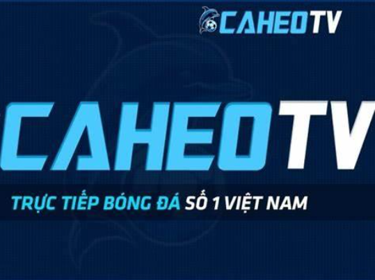 caheowiki-huong-dan-xem-bong-da-truc-tiep-tren-website-865