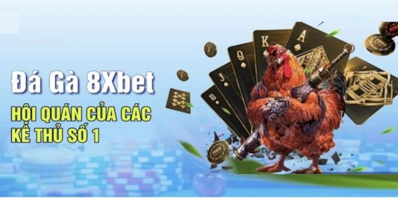 da-ga-8xbet-tron-bo-bi-kip-dat-cuoc-tu-cao-thu-1027