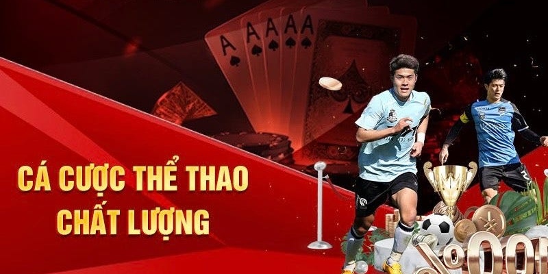 the-thao-33win-dam-me-the-thao-co-thuong-cho-bet-thu-1115