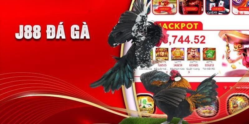 da-ga-j88-so-tay-bi-kiep-da-ga-danh-cho-nguoi-choi-moi-1139