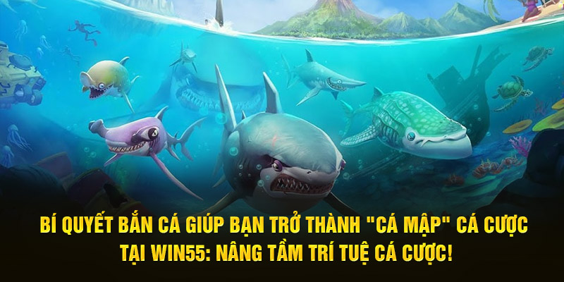 bi-quyet-ban-ca-giup-ban-tro-thanh-ca-map-ca-cuoc-tai-win55-nang-tam-tri-tue-ca-cuoc-1186