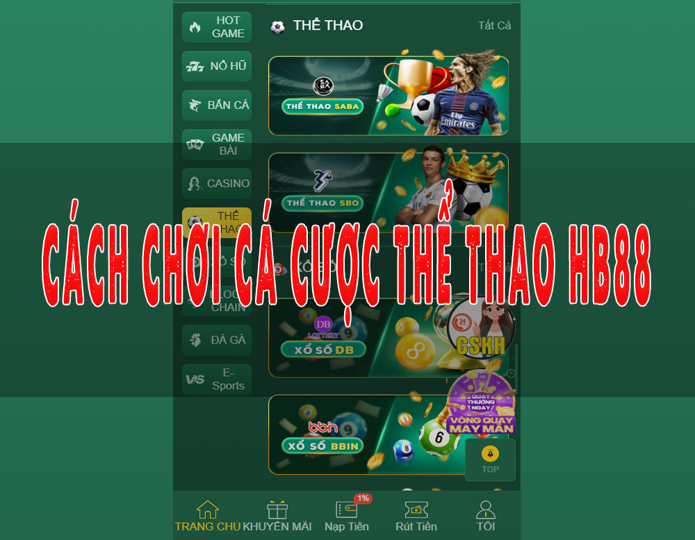 ca-cuoc-the-thao-hb88-khi-niem-dam-me-tro-nen-ruc-lua-1214