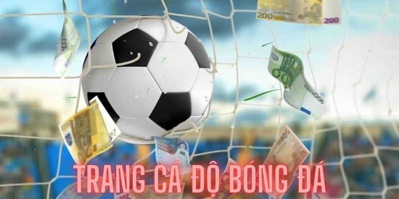 trang-ca-do-bong-da-danh-gia-chi-tiet-tai-trangcacuocbongdaonline-1768