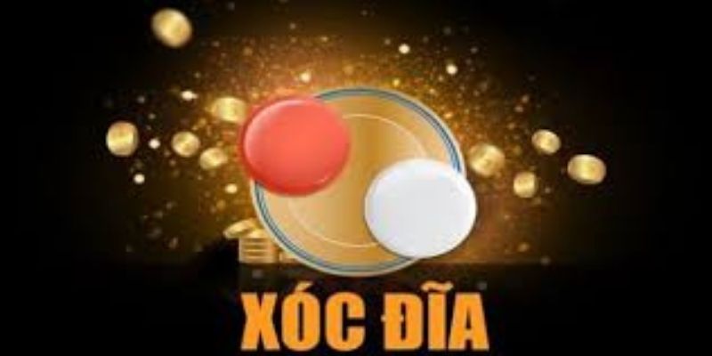 phuong-phap-soi-cau-xoc-dia-8xbet-cac-chien-thuat-va-rui-ro-1883