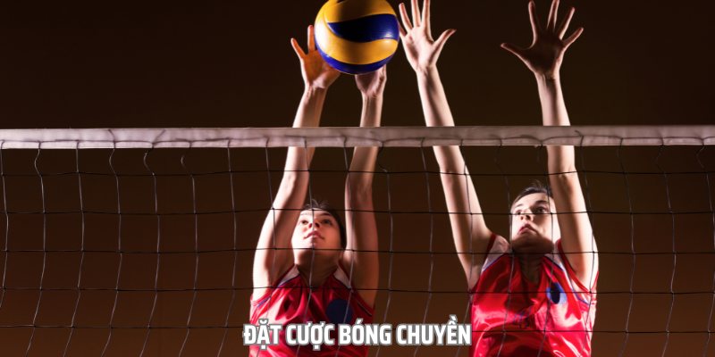 tron-bo-bi-quyet-dat-cuoc-bong-chuyen-tu-co-ban-den-nang-cao-1976