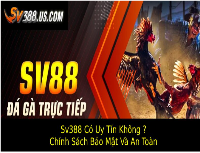 sv388-co-uy-tin-khong-danh-gia-san-choi-hang-dau-2025-2010