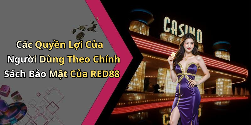chinh-sach-bao-mat-red88-dam-bao-an-toan-du-lieu-nguoi-choi-2427