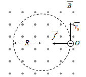 hinh-anh-ban-kinh-quy-dao-cua-quang-electron-trong-tu-truong-vuong-goc-vat-ly-12-554-0