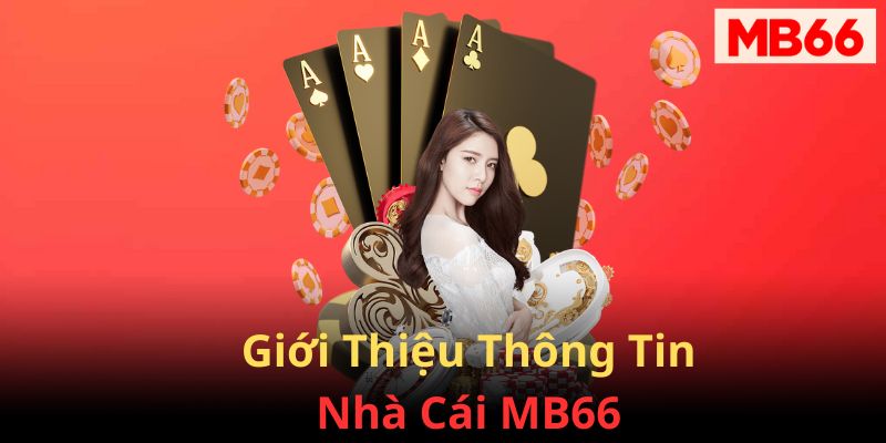 Giới thiệu nhà cái MB66, sân chơi hàng đầu châu Á